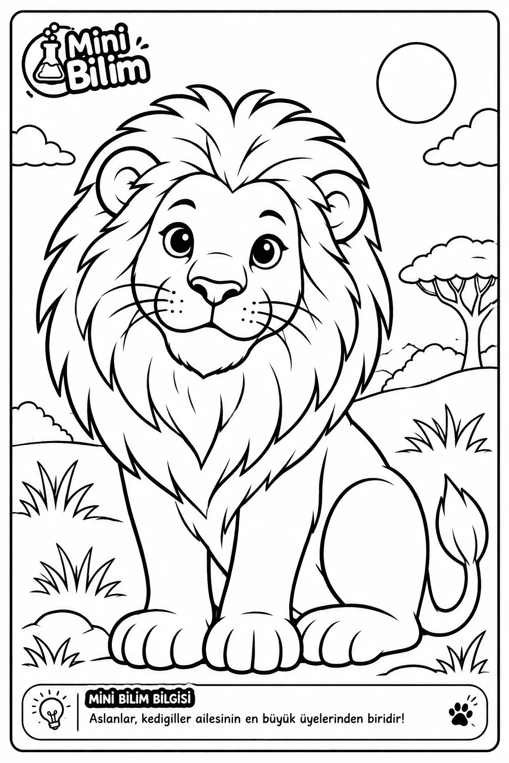 Aslan Boyama