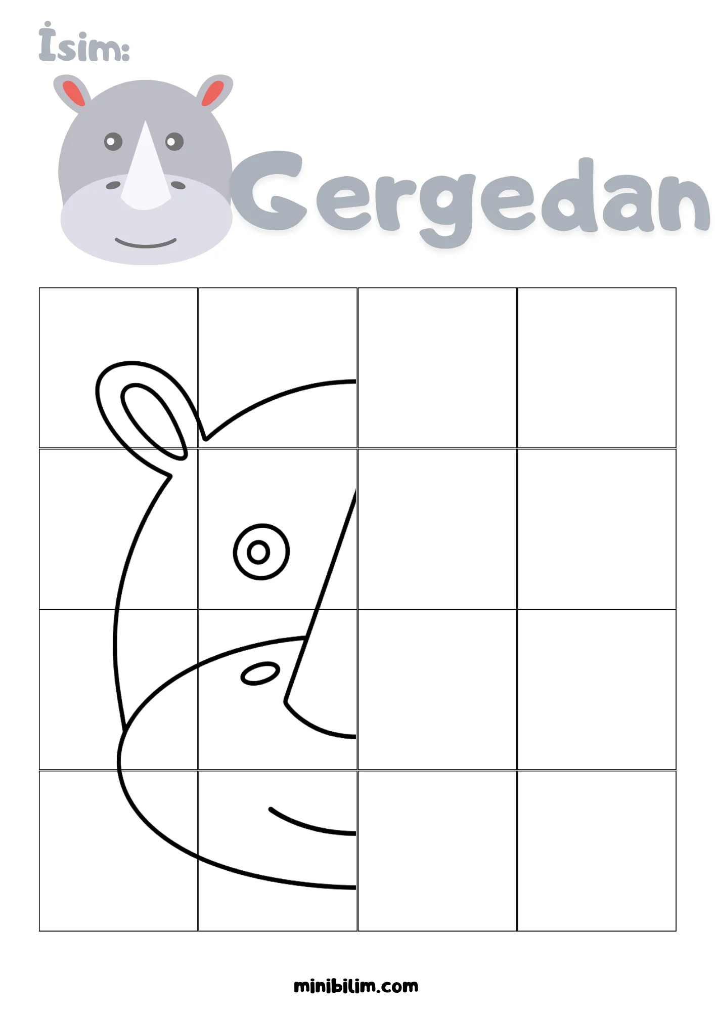 Gergedan Simetri Etkinliği