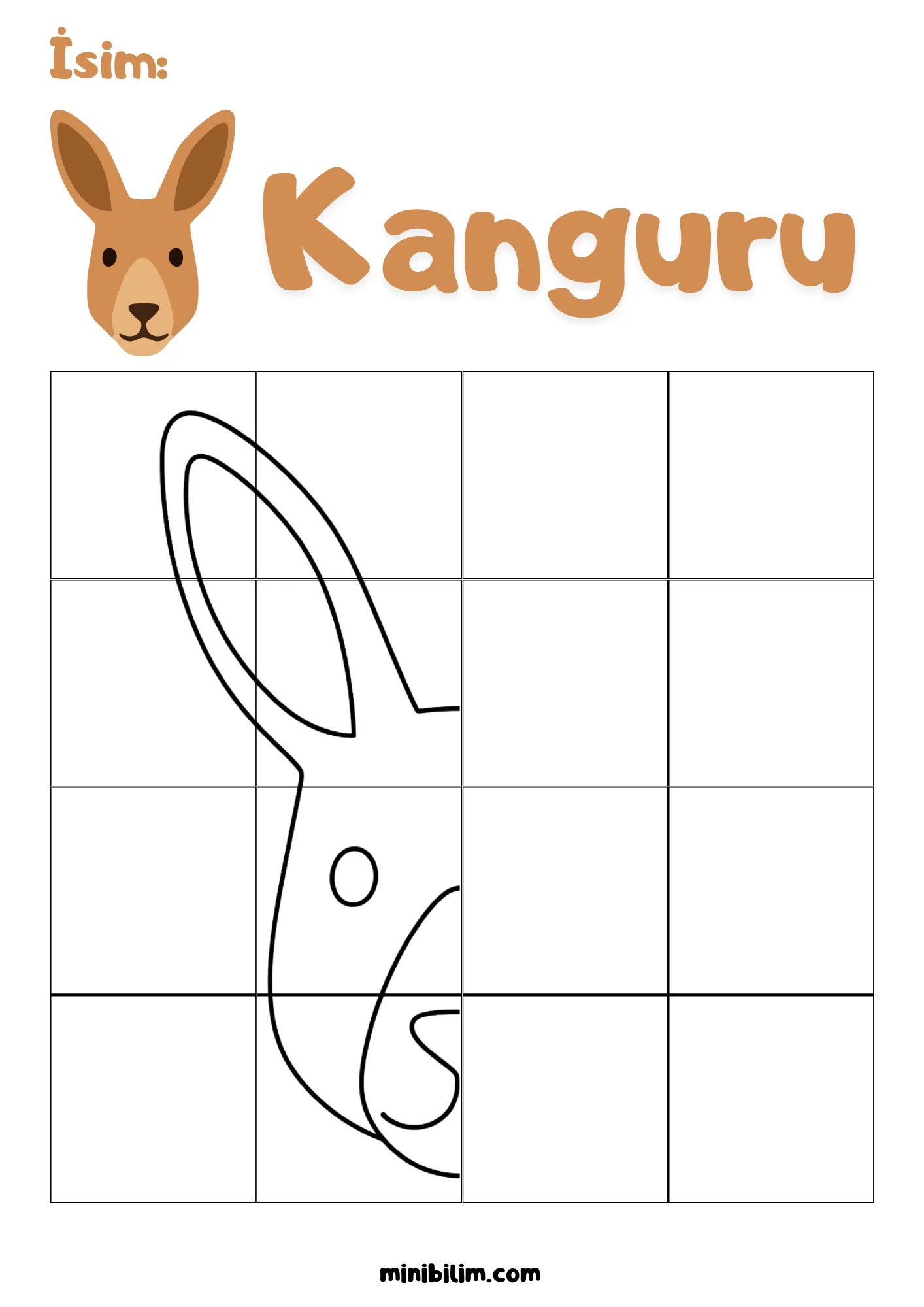 Kanguru Simetri Etkinliği