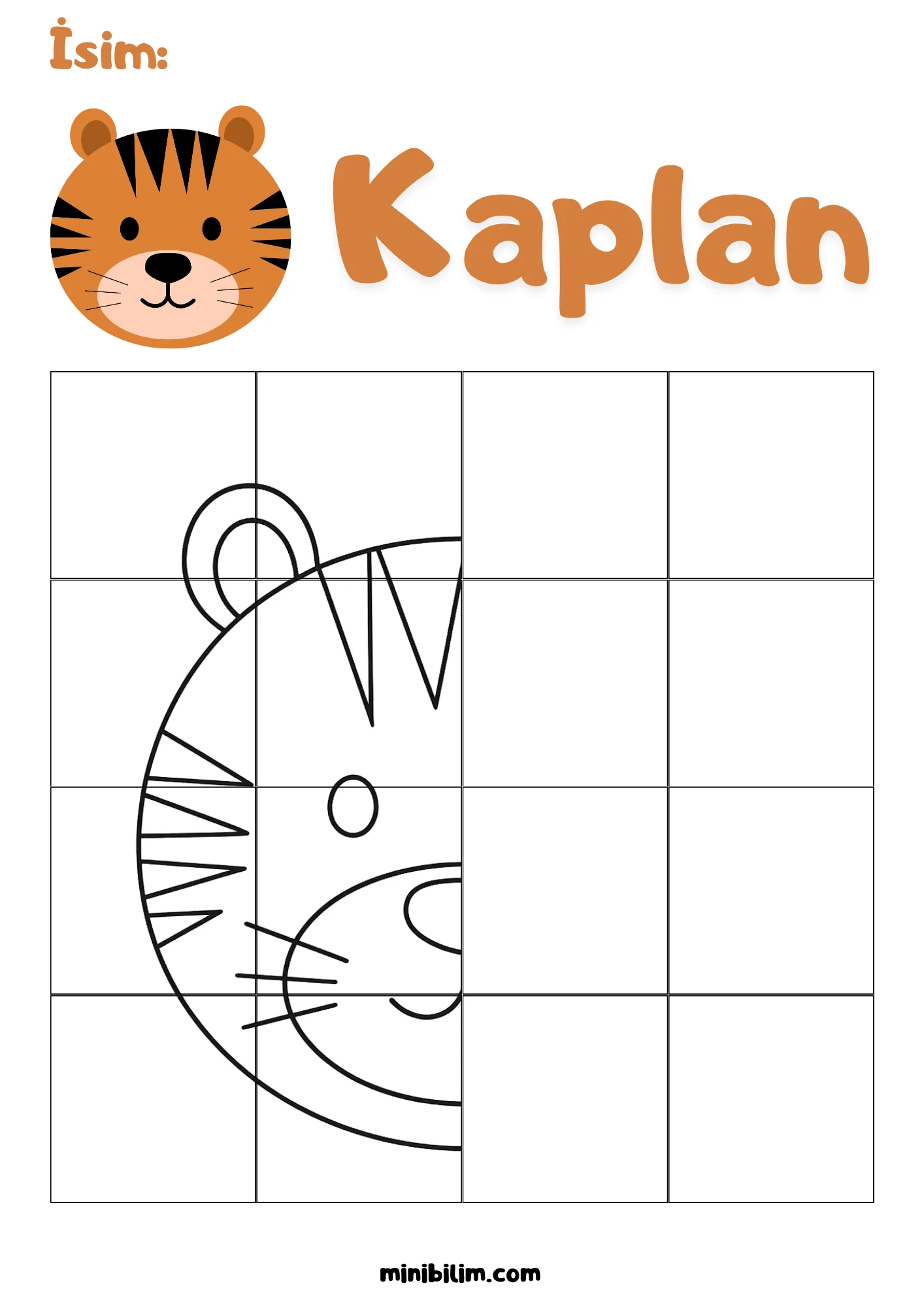 Kaplan Simetri Etkinliği