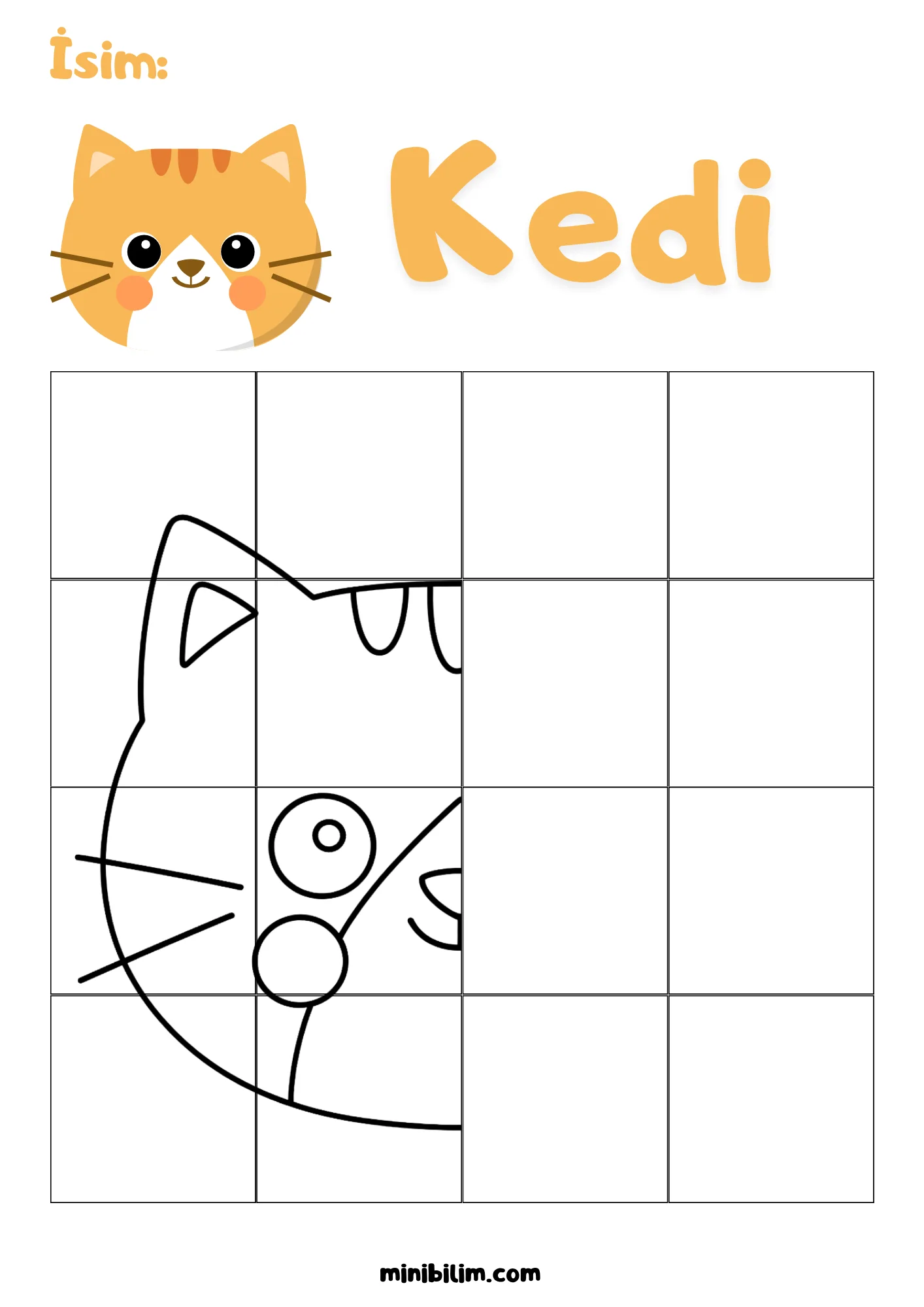Kedi Simetri Etkinliği
