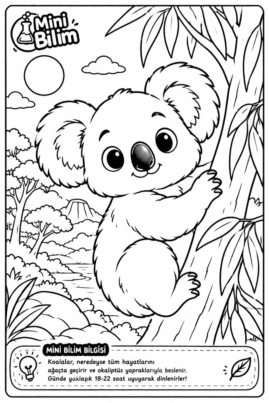 Koala Boyama
