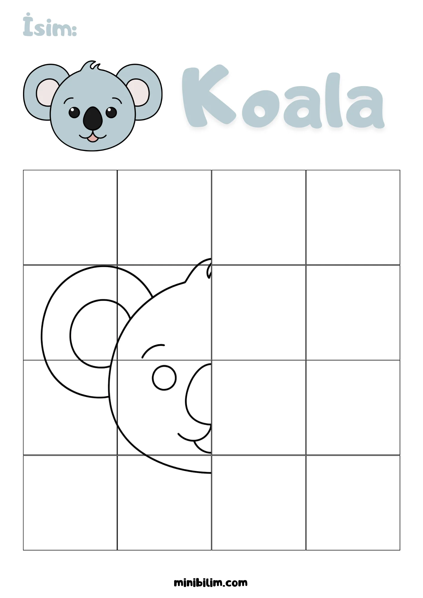 Koala Simetri Etkinliği