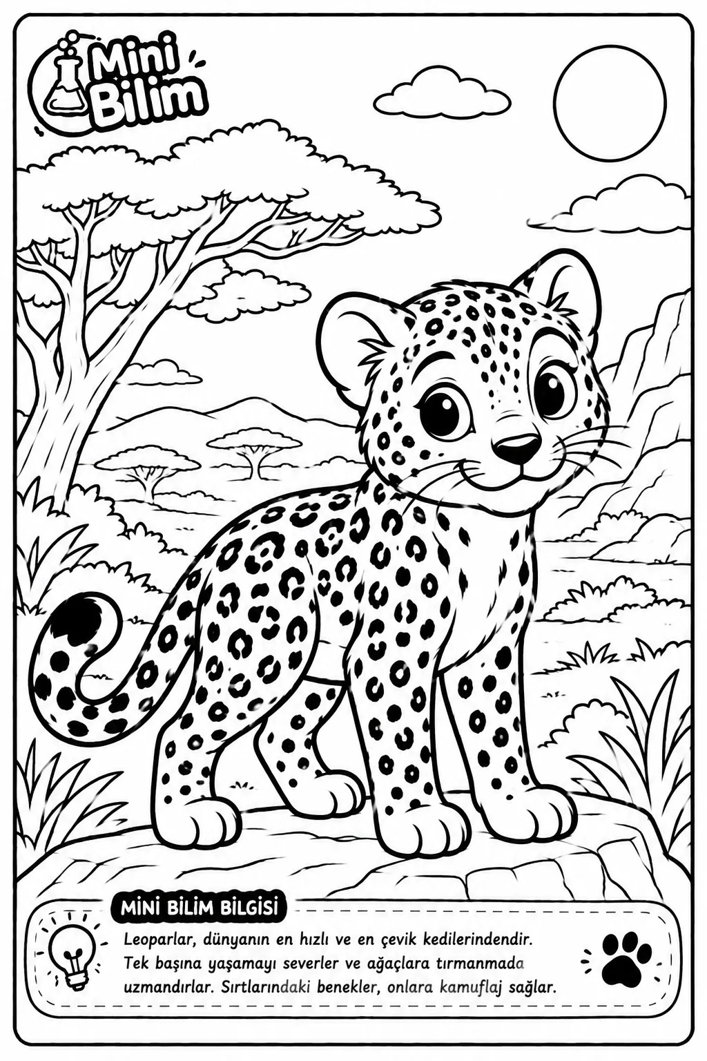 Leopar Boyama
