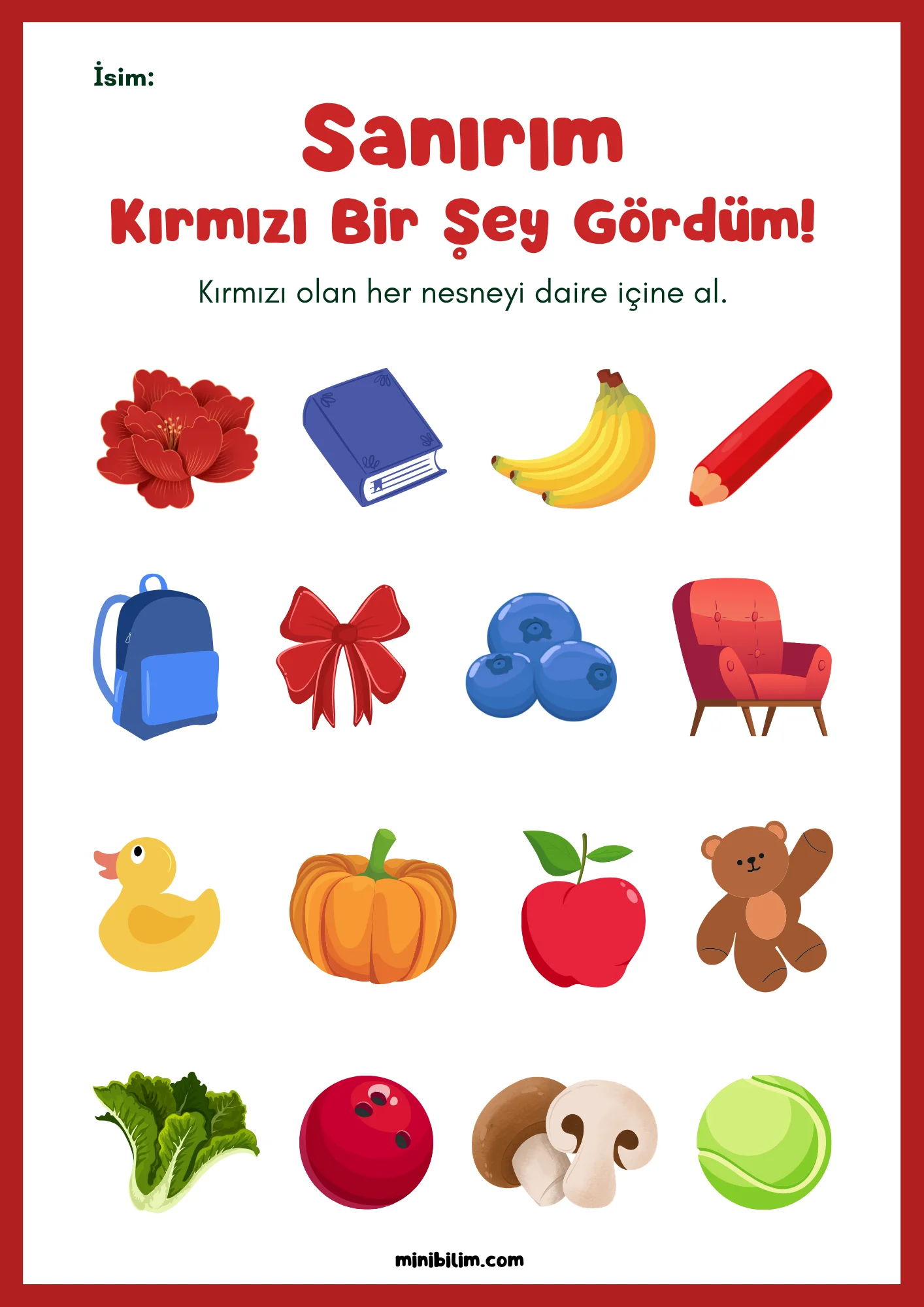 Sanırım Bir Şey Gördüm! (Renkler)