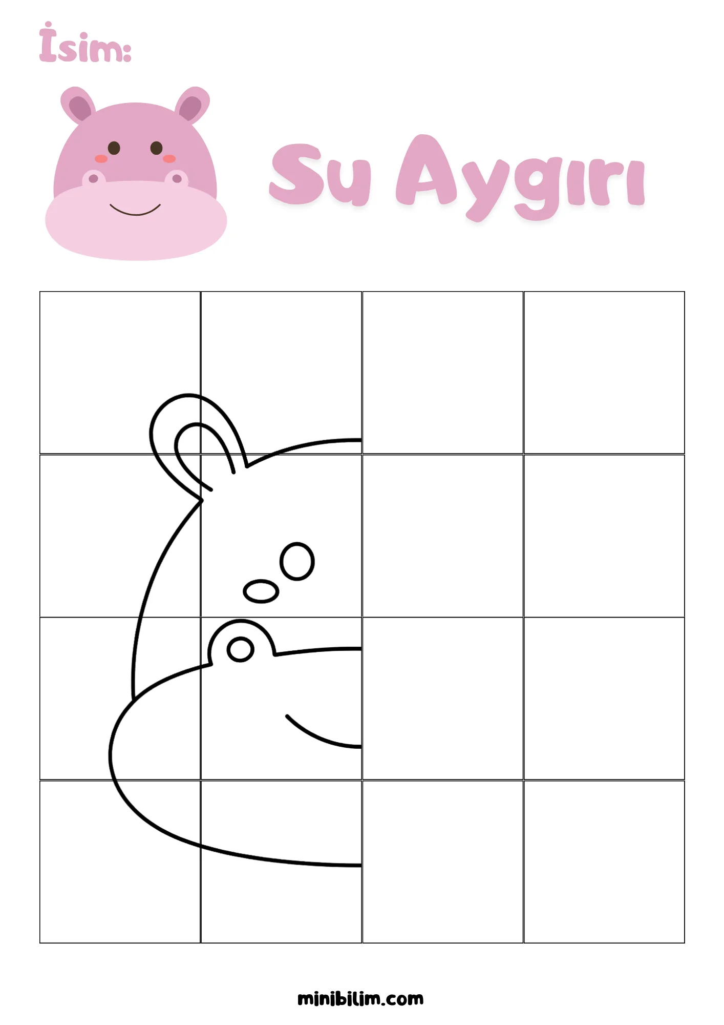 Su Aygırı Simetri Etkinliği