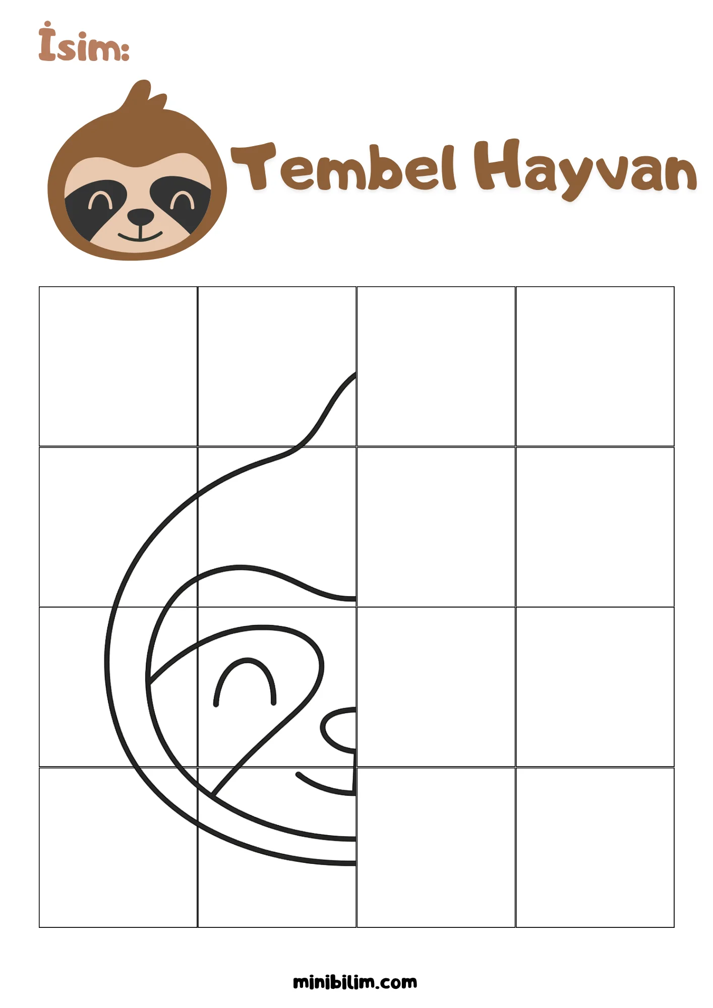 Tembel Hayvan Simetri Etkinliği