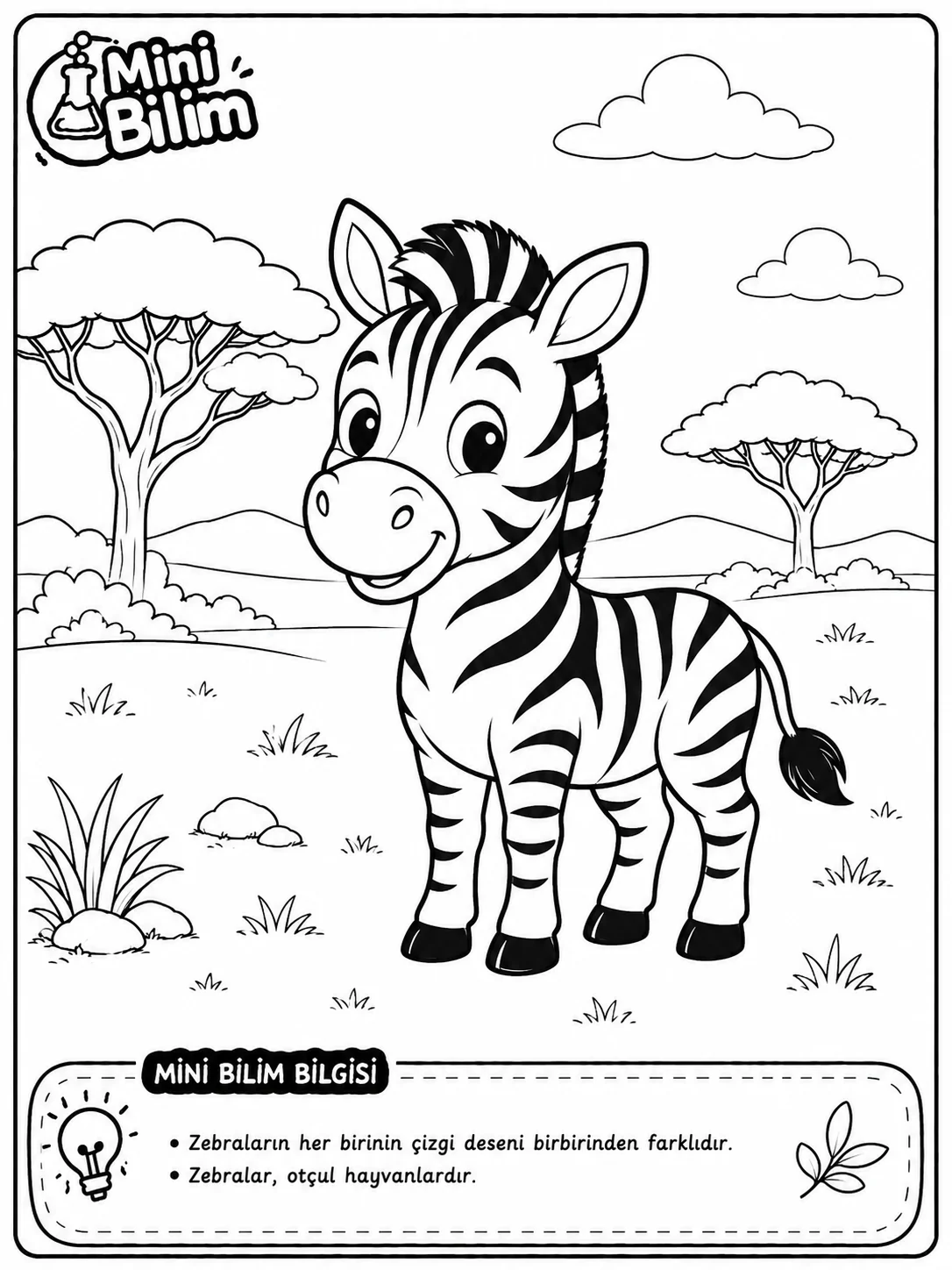 Zebra Boyama