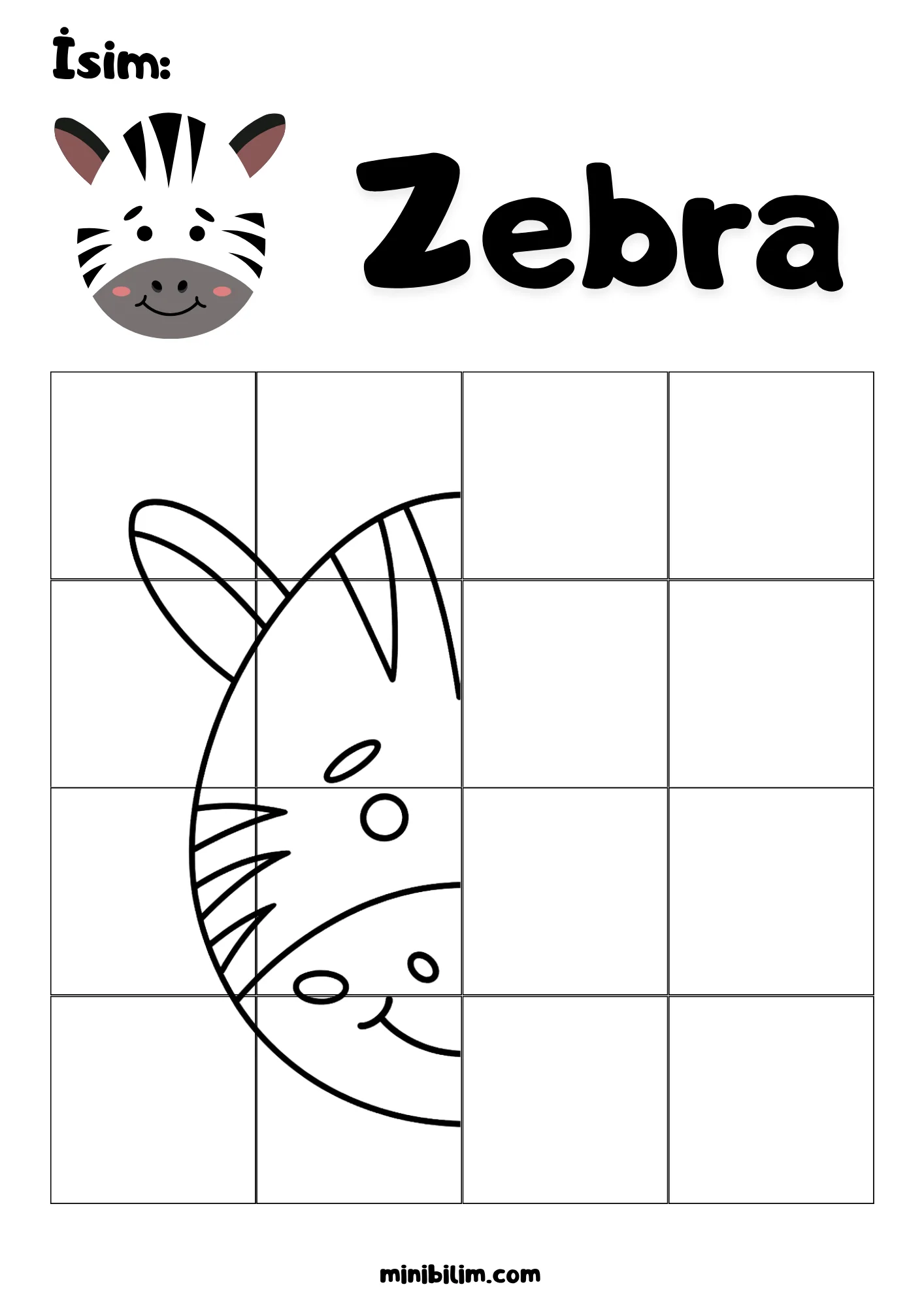 Zebra Simetri Etkinliği