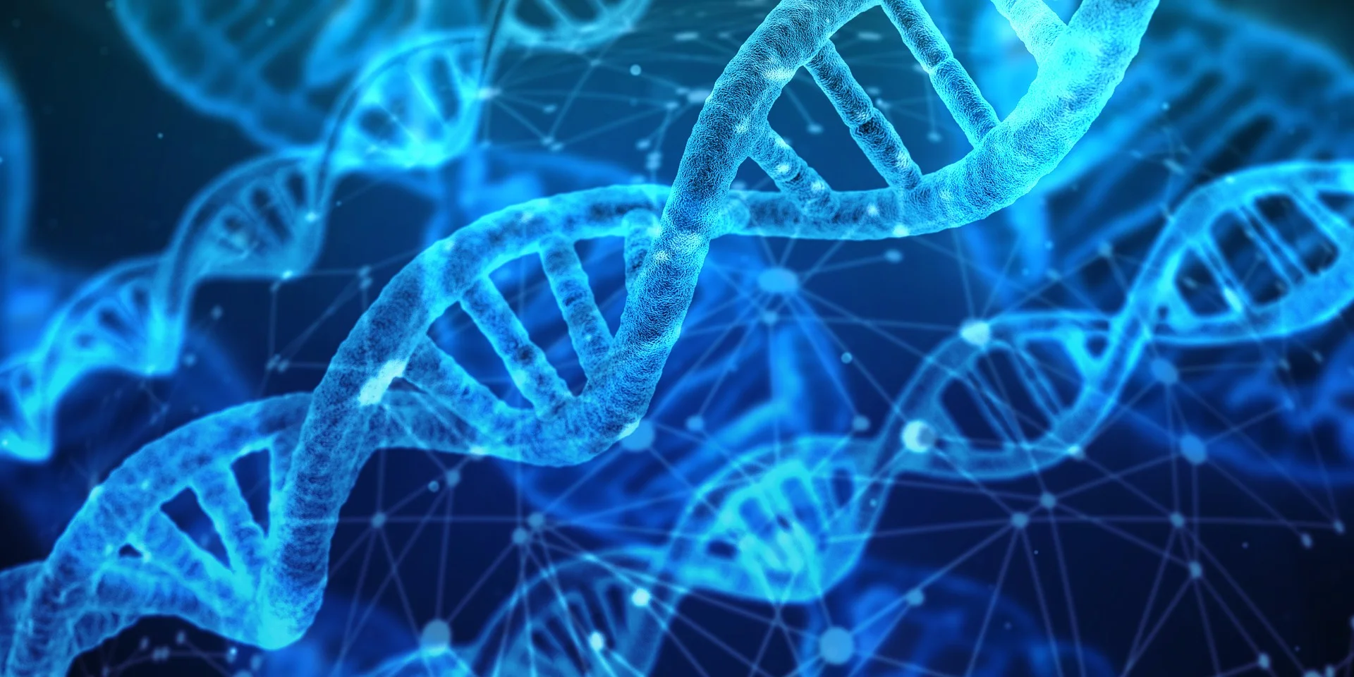 DNA Nasıl Keşfedildi?