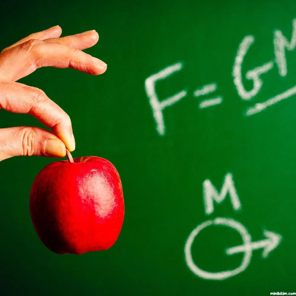 minibilim | Isaac Newton - 3