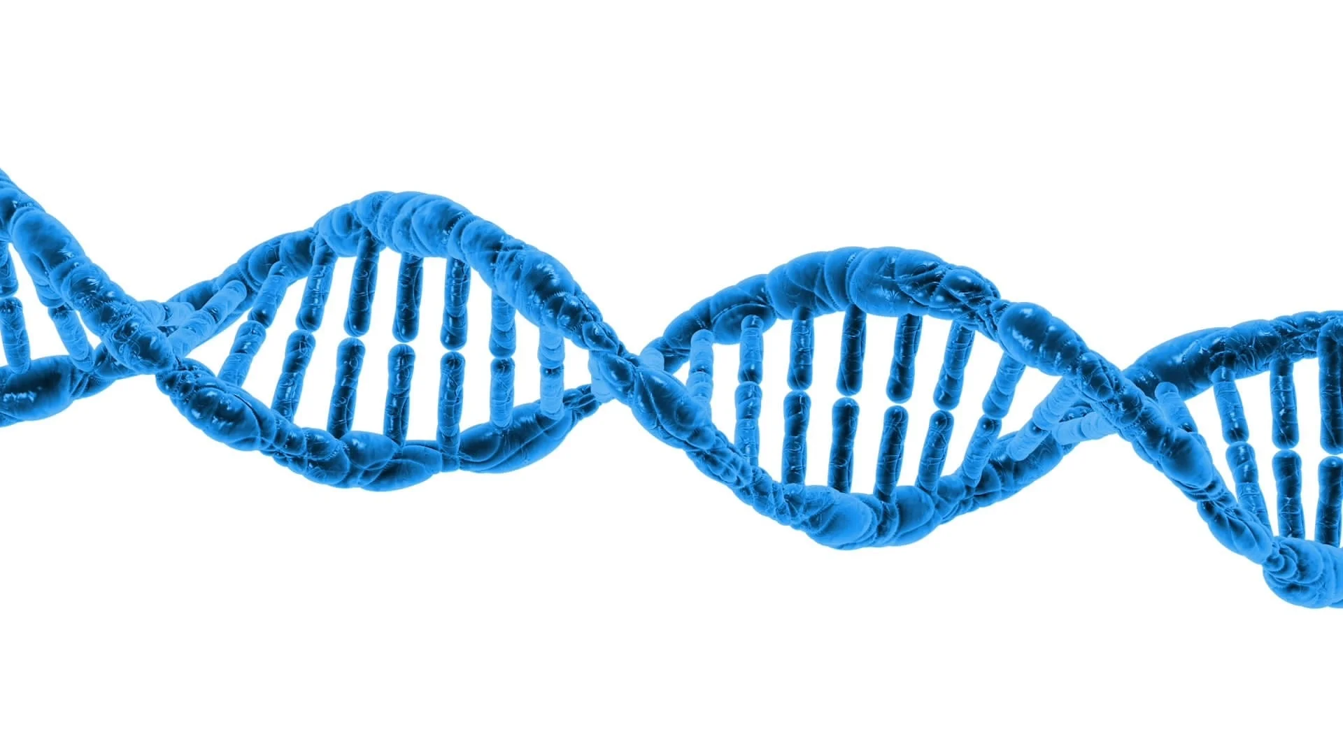 minibilim | DNA Nasıl Keşfedildi? - 1